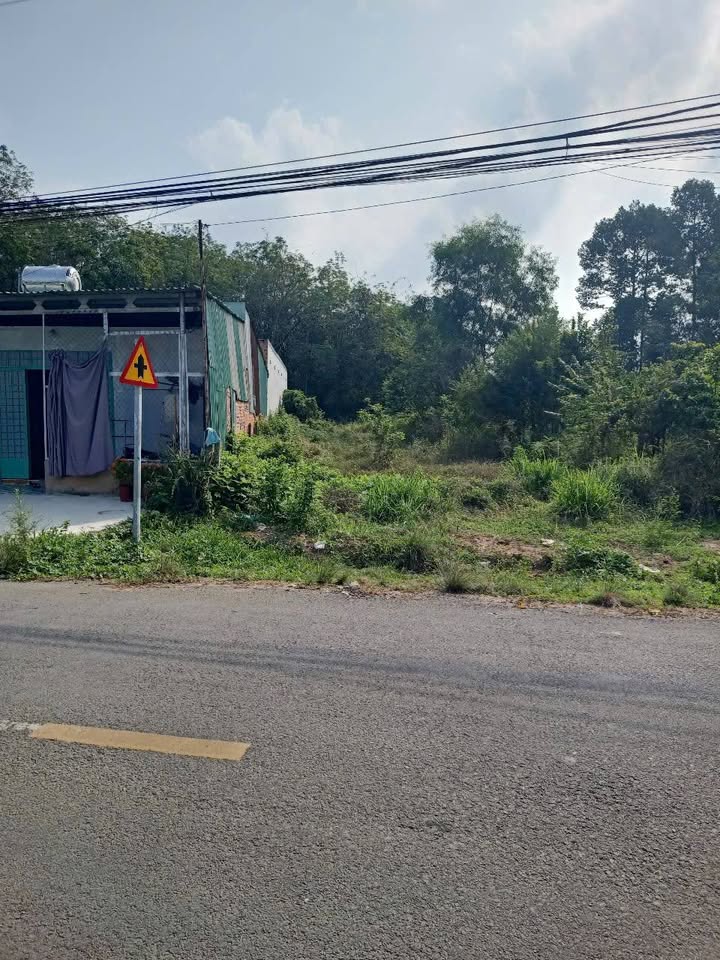 Đất Phú An Bến Cát 620m² - Kinh doanh sầm uất, giá thỏa thuận!