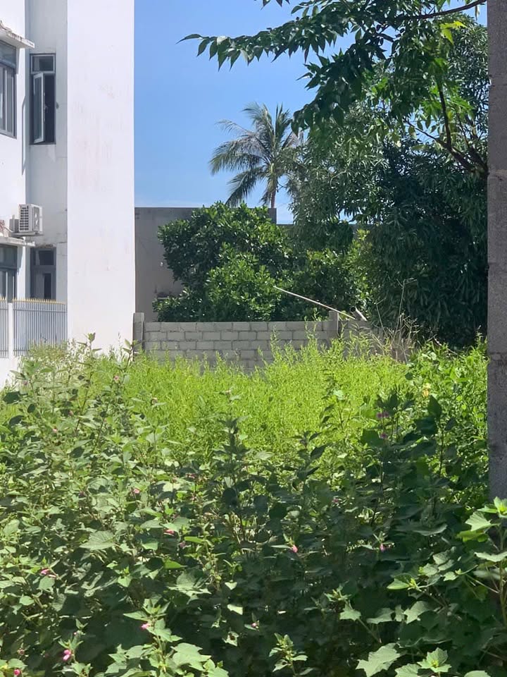 Đất nền 454m² mặt tiền Nguyễn Du, Tân Phước, La Gi - Giá 4.71 tỷ, cơ hội đầu tư tuyệt vời!