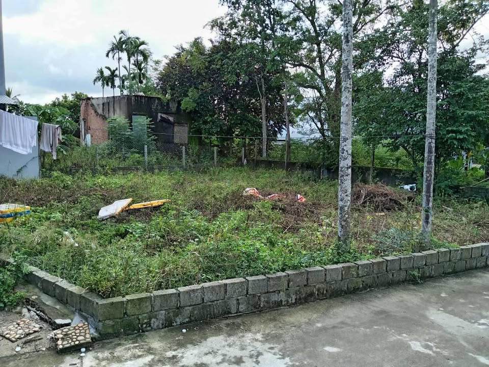 Đất thổ cư 220m² tại Thôn Quang Châu 3.85 tỷ - Tiềm năng đầu tư sinh lời!