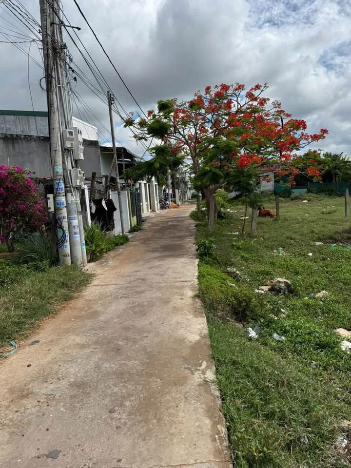 Đất thổ cư 100m² trục chính Tây Đô Phong Nẫm - Giá chỉ 1.2 tỷ!