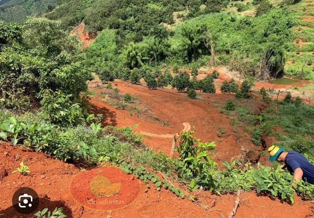 Đất Farm Đắk Hòa 6.5ha giá 5.5 tỷ - Tiềm năng đầu tư lớn!