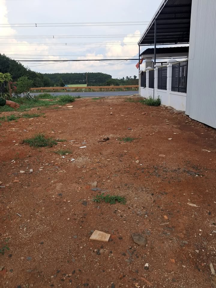 Đất nền Đắk Song 12.000m² giá 2.65 tỷ - Đầu tư sinh lời ngay!