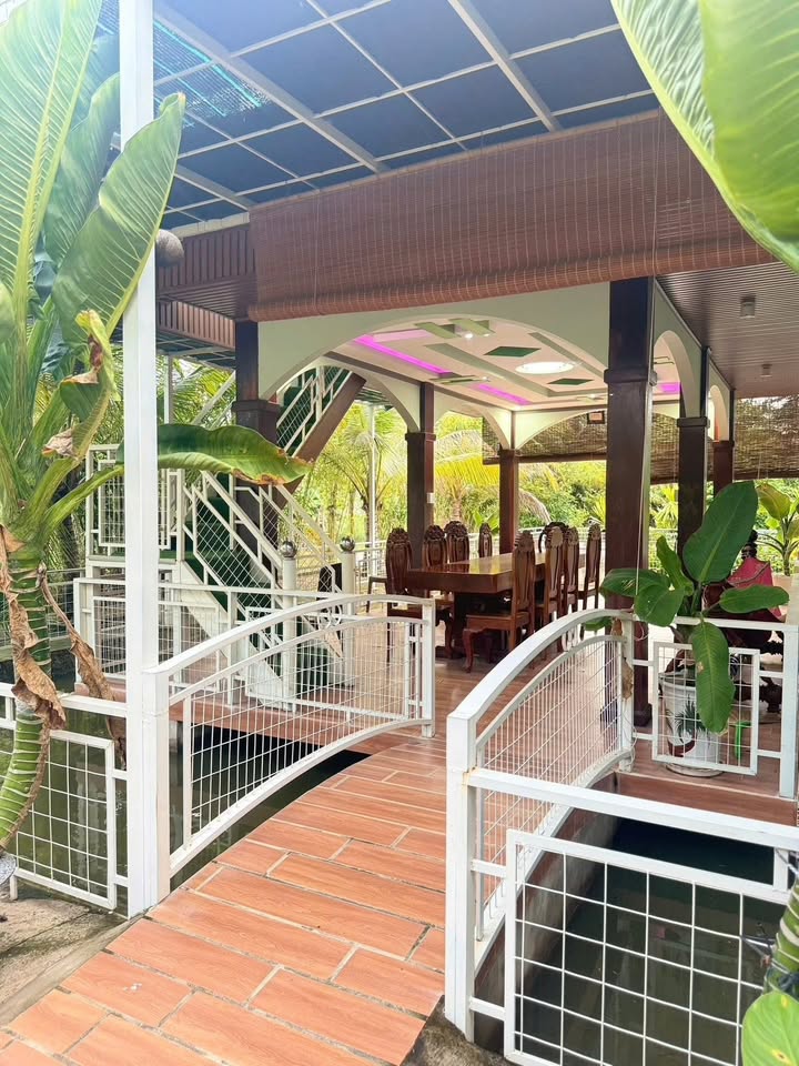 Homestay tại Phan Thiết 3 phòng ngủ giá 12 triệu - Trải nghiệm thiên nhiên tuyệt vời!