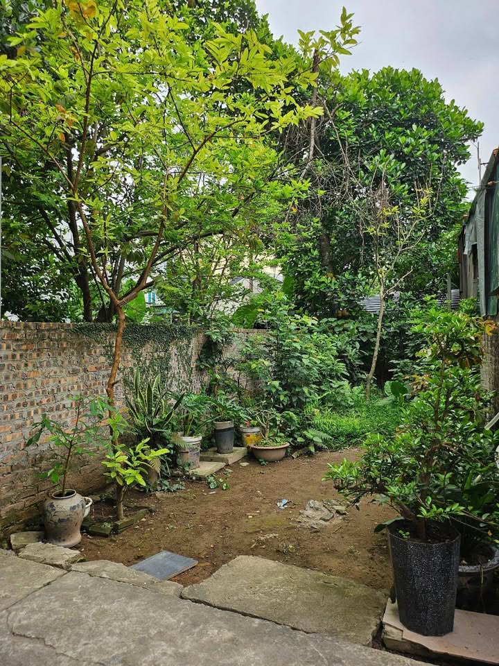 Đất nền Ngọc Thụy Long Biên 42m² - Sổ đỏ chính chủ, ô tô đỗ cửa!