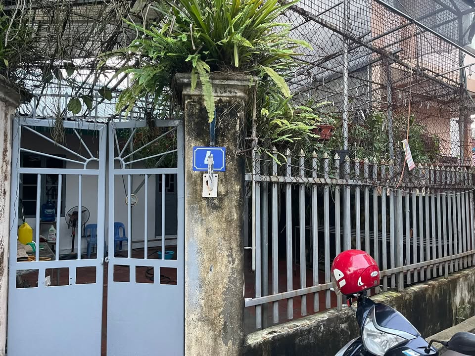 Nhà cấp 4 cho thuê lâu dài tại phường Thanh Miếu, Việt Trì - Không gian thoáng đãng, tiện nghi đầy đủ!