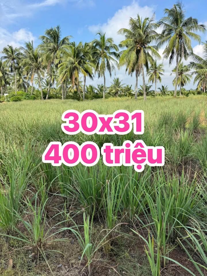 Đất vườn 1000m² xã Tân Thới, Tân Phú Đông - Giá chỉ 400 triệu, sổ đỏ chính chủ!