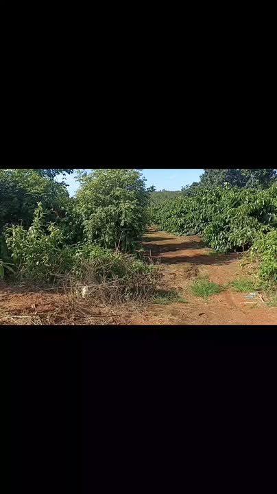 Đất nông nghiệp 7 sào tại xã Hòa Bình, Kon Tum - Giá chỉ 1.5 tỷ, chủ bao bìa!