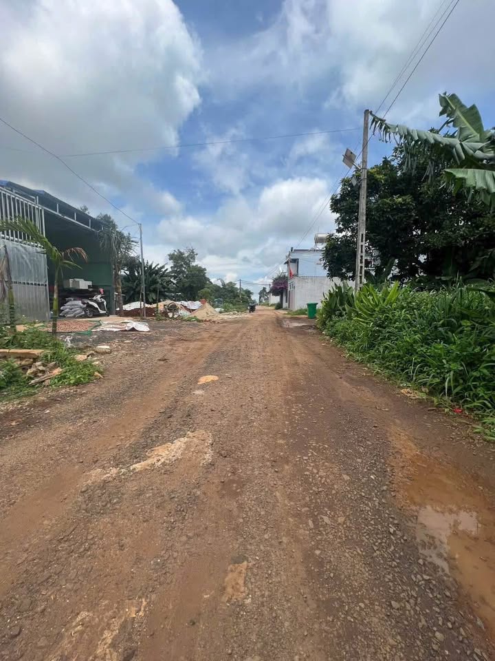 Đất nền mặt tiền Nguyễn Huệ, Tân Lợi 138.5m² giá 3.15 tỷ - Đầu tư sinh lời nhanh!