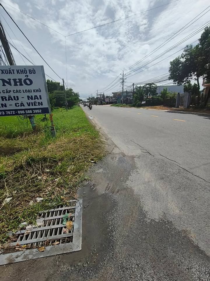 Đất thổ cư 174m² tại ấp Chánh, Hậu Nghĩa chỉ 1.19 tỷ - Sổ đỏ chính chủ!