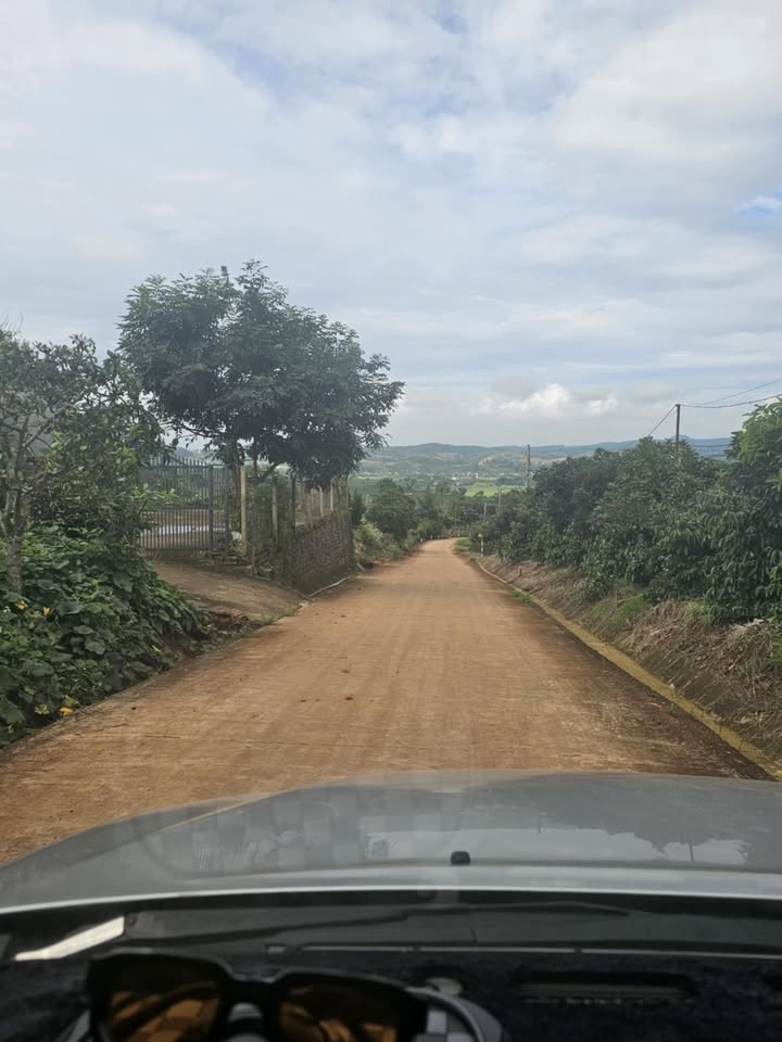 Đất nền xã Nam Ban 1000m² giá 800 triệu - View đẹp, đầu tư sinh lời!