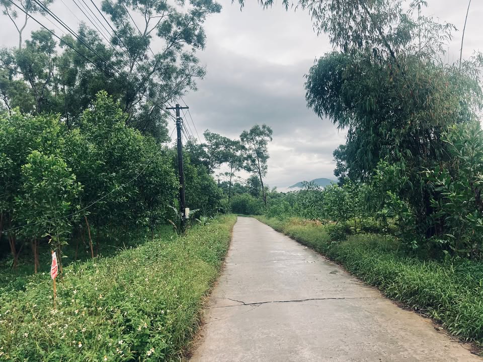 Đất nền Lộc An, Phú Lộc 213.93m² giá thỏa thuận - Cơ hội đầu tư kinh doanh sinh lời!