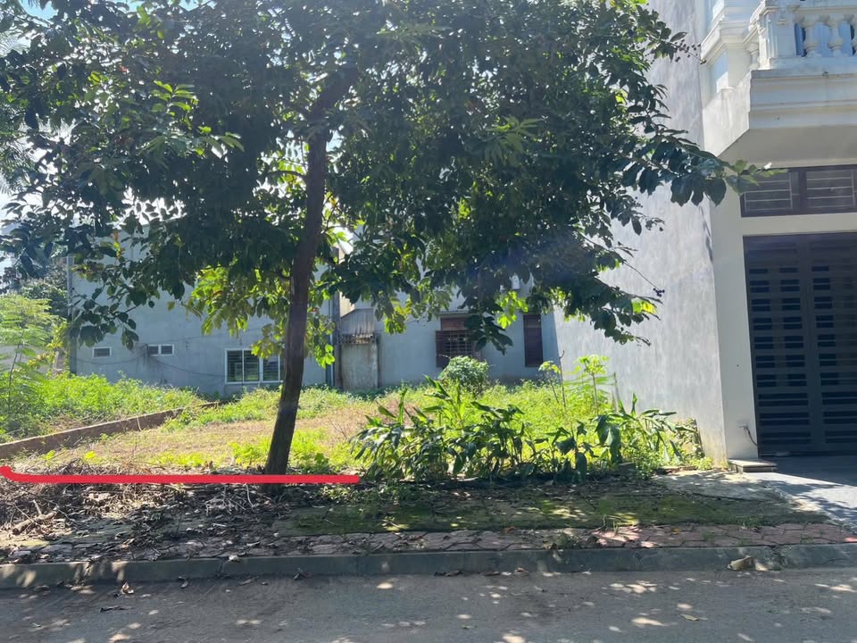 Đất nền Quang Trung, Việt Trì 99m² giá chỉ 5 tỷ - Cơ hội đầu tư lý tưởng!