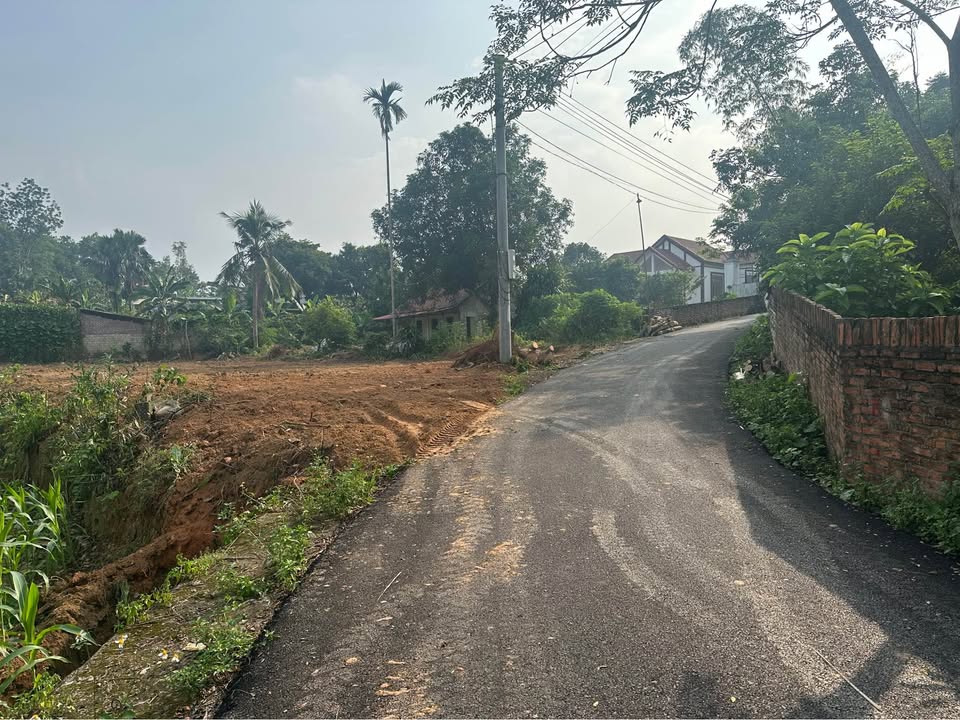 Đất nền Liễn Sơn Lập Thạch 110m² giá chỉ 4xx triệu - Cơ hội đầu tư tuyệt vời!