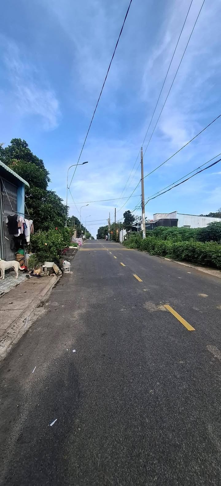 Nhà nguyên căn Tam Phước, Long Điền giá 1.5 triệu - Không gian sống thoáng mát!