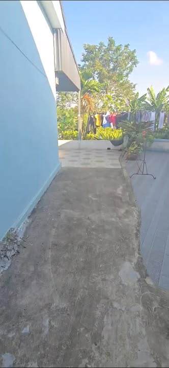 Đất thổ cư Hoàng Cương, Thanh Ba 208m² giá 800 triệu - View hồ lý tưởng!