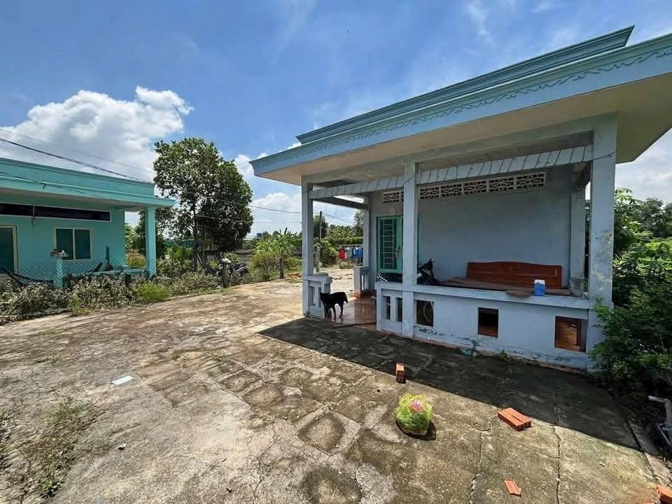 Nhà cấp 4 Mỹ Lộc Cần Giuộc 319m² giá 1.4 tỷ - Đường xe 4 chỗ vào tận nhà!