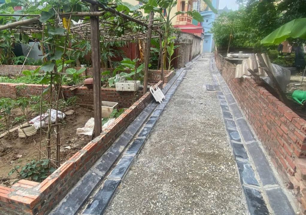 Đất nền Mai Lâm, Đông Anh 58m² giá 4.64 tỷ - Cơ hội đầu tư hiếm có!