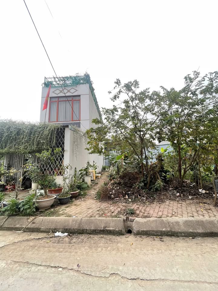 Đất nền khu tái định cư Thịnh Lang Hòa Bình 84m² giá 1.9 tỷ - Cơ hội đầu tư cho gia đình!