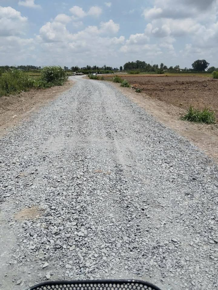 Đất nền 202m² tại ấp Bình Trinh, Gò Công Tây, Tiền Giang - Sổ hồng chính chủ, giá chỉ 230 triệu!