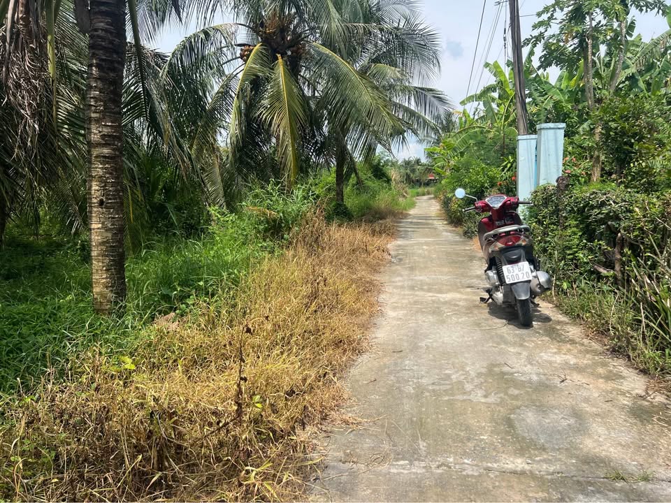 Đất thổ cư 356m² tại Gò Công Đông - Giá chỉ 680 triệu - Đầu tư sinh lời!