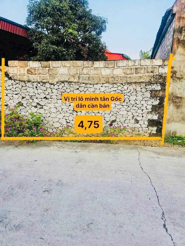 Đất nền Bạch Đằng, Thủy Nguyên 60.6m² giá 8xx triệu - Đầu tư sinh lời đảm bảo!