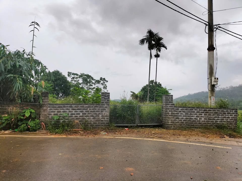 Đất nền Vân Hòa, Ba Vì 325m² giá 3 tỷ - Mặt đường chính thuận lợi!