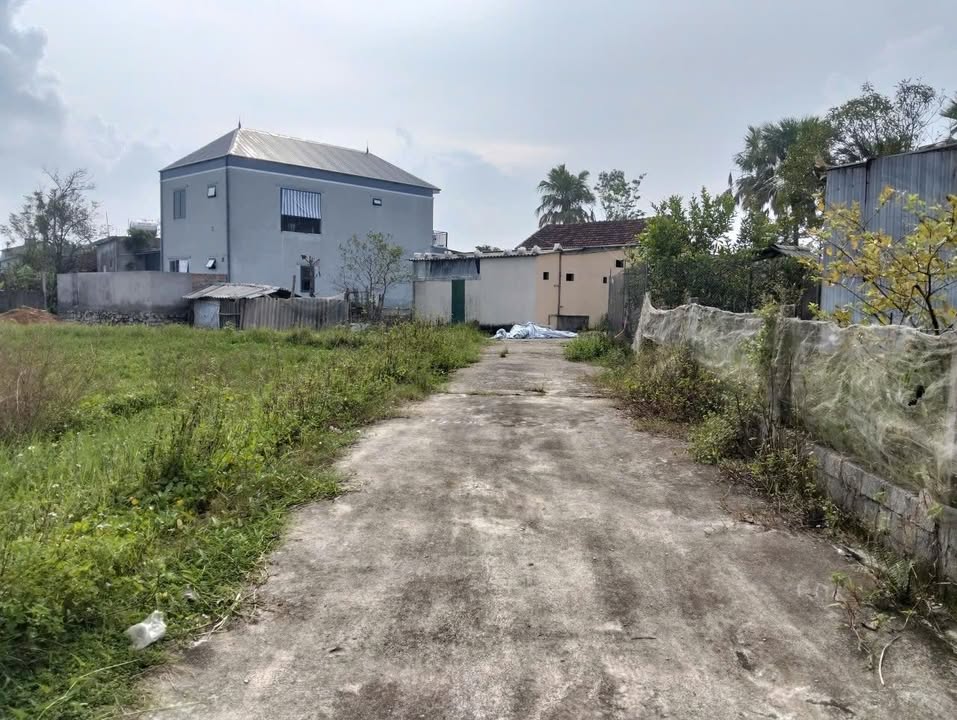 Đất thổ cư Tân Lâm Hương 197m² giá 1.1 tỷ - Vị trí thuận lợi, sổ hồng chính chủ!