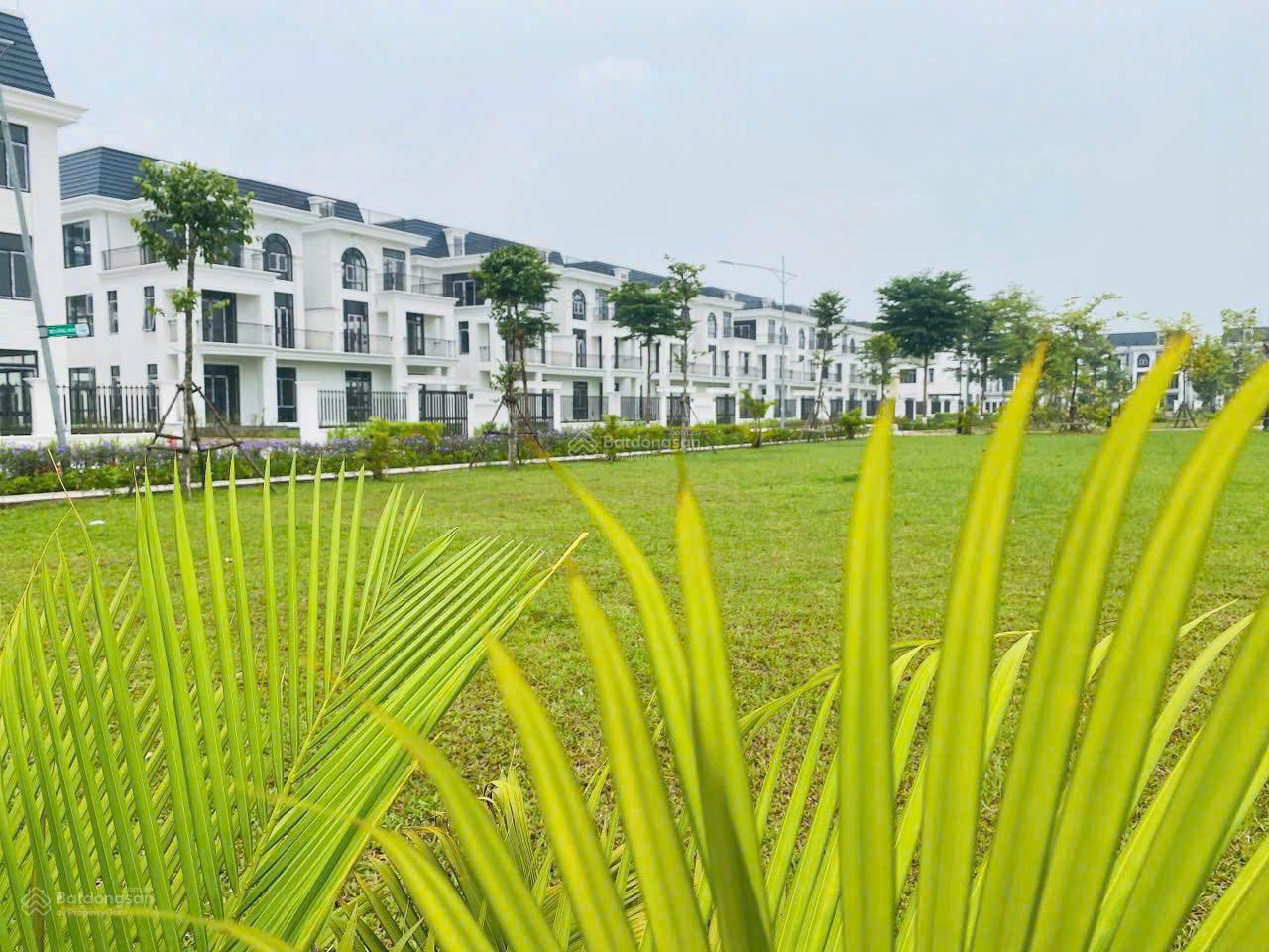 Biệt thự 324m² HUD Mê Linh Central giá thỏa thuận - Đầu tư sinh lời bền vững!