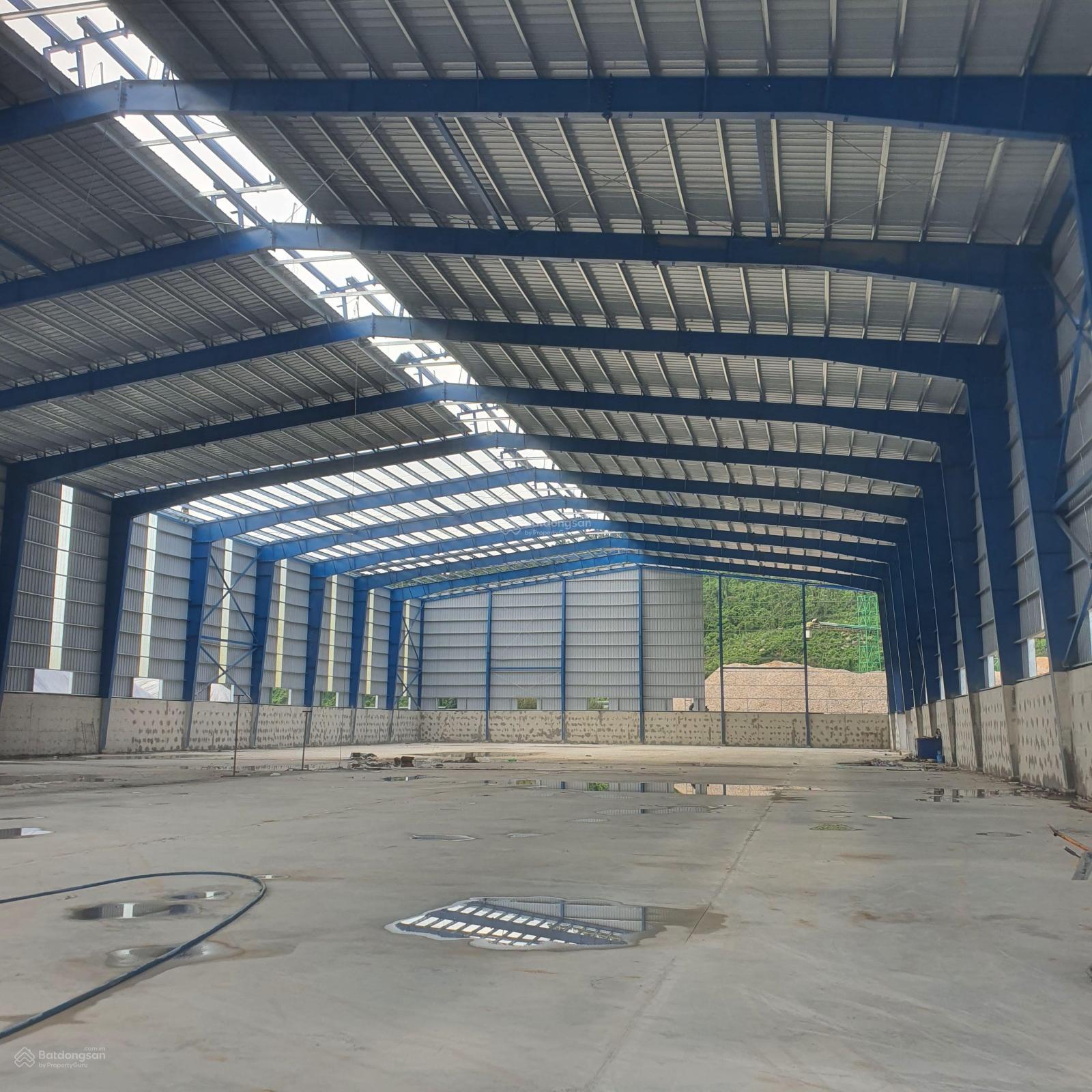 Kho bãi cho thuê tại cảng Chân Mây Huế diện tích từ 5.000m² - Vị trí đắc địa cho logistics!