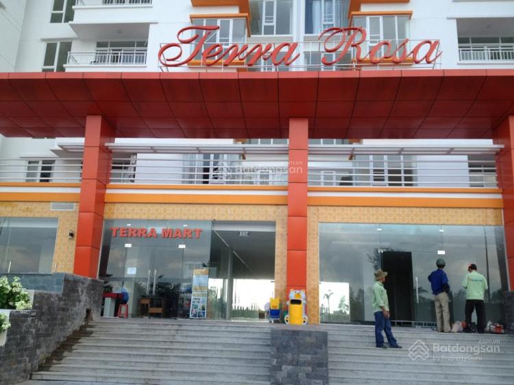 Căn hộ Terra Rosa Bình Hưng 80m² giá 6.5 triệu - Thuận tiện sống và làm việc!