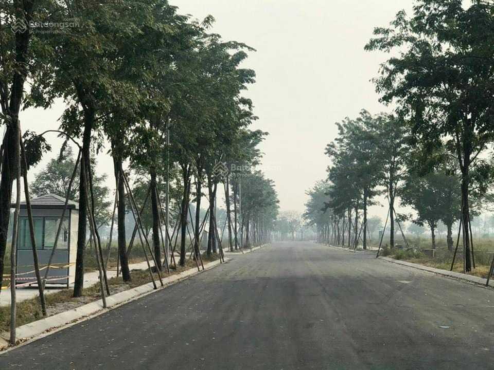 Đất liền kề mặt đường 48m tại Minh Giang Đầm Và 100m² giá 2.8 tỷ - Cơ hội đầu tư hấp dẫn!