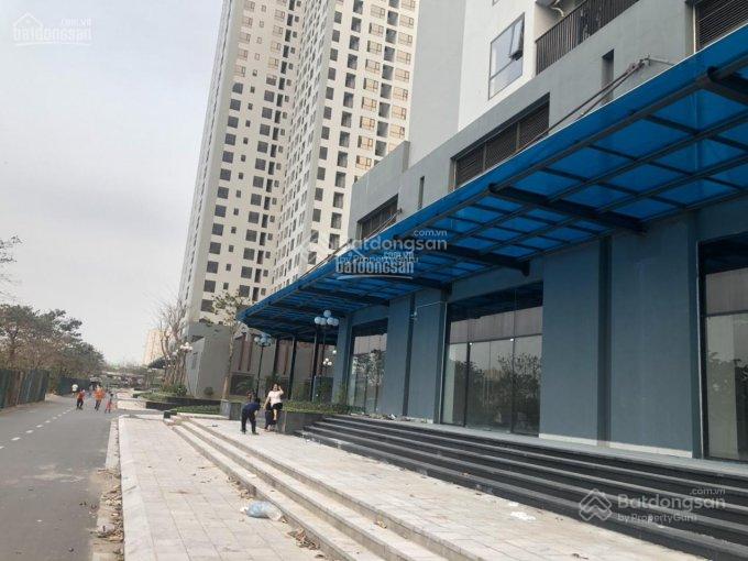 Cho thuê cửa hàng ki ốt 200m² tại Chung cư X2 Đại Kim, Hoàng Mai - Vị trí đắc địa, dễ dàng kinh doanh!