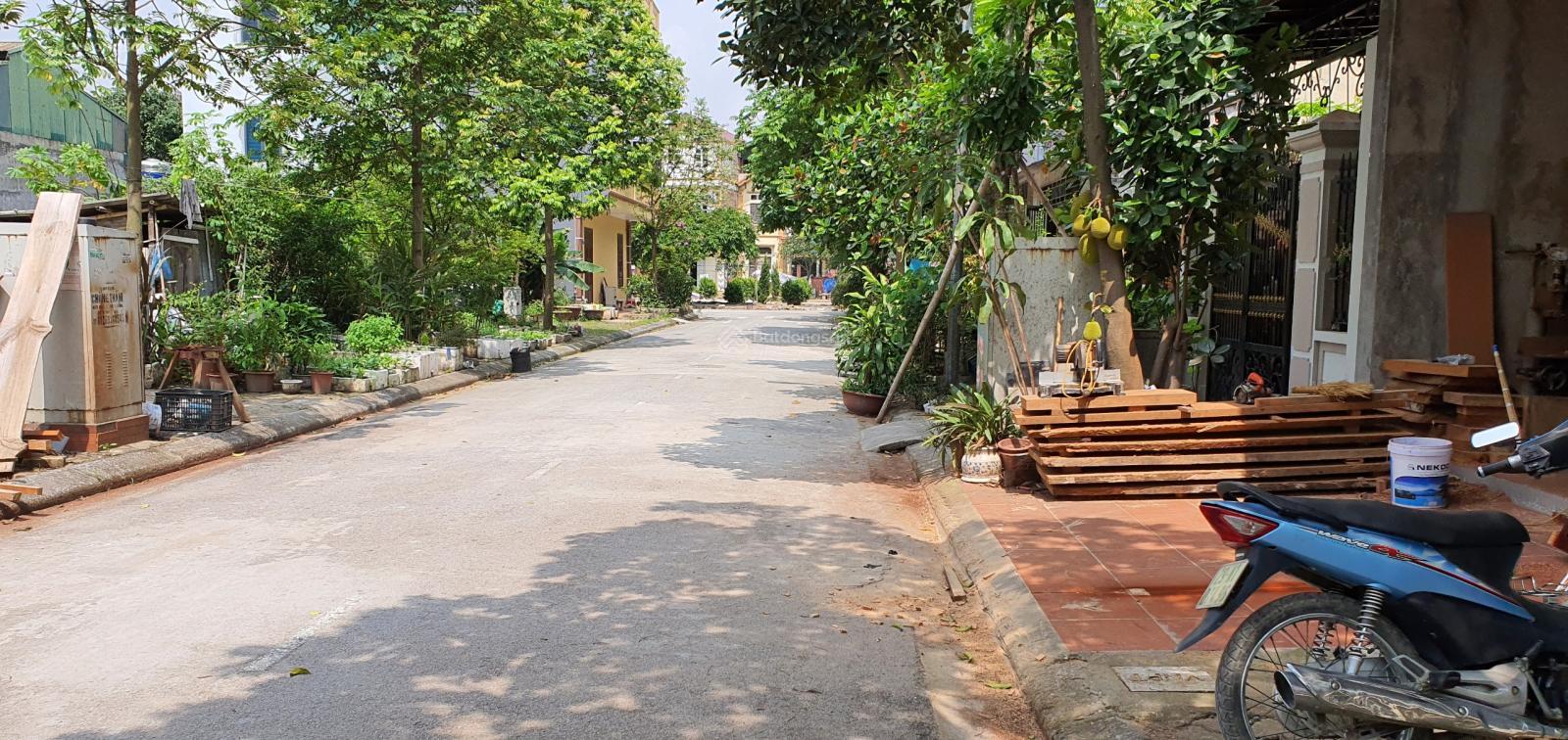 Cho thuê mặt bằng 32m² tại Khu đô thị Đặng Xá - Kinh doanh sầm uất, giá thỏa thuận!