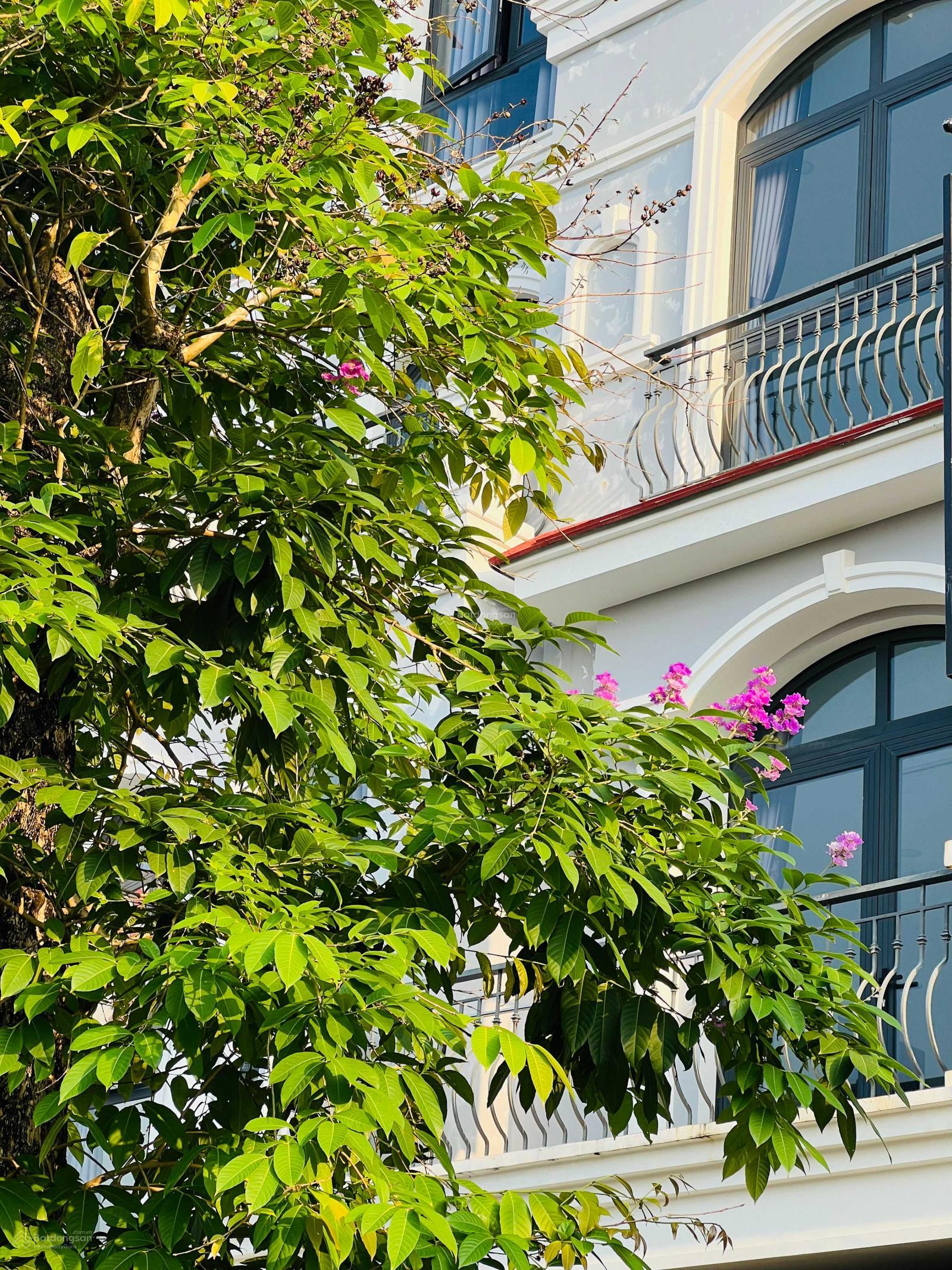 Cho thuê shophouse Grand World Phú Quốc 226m² - Đầy đủ nội thất, cách biển 150m!