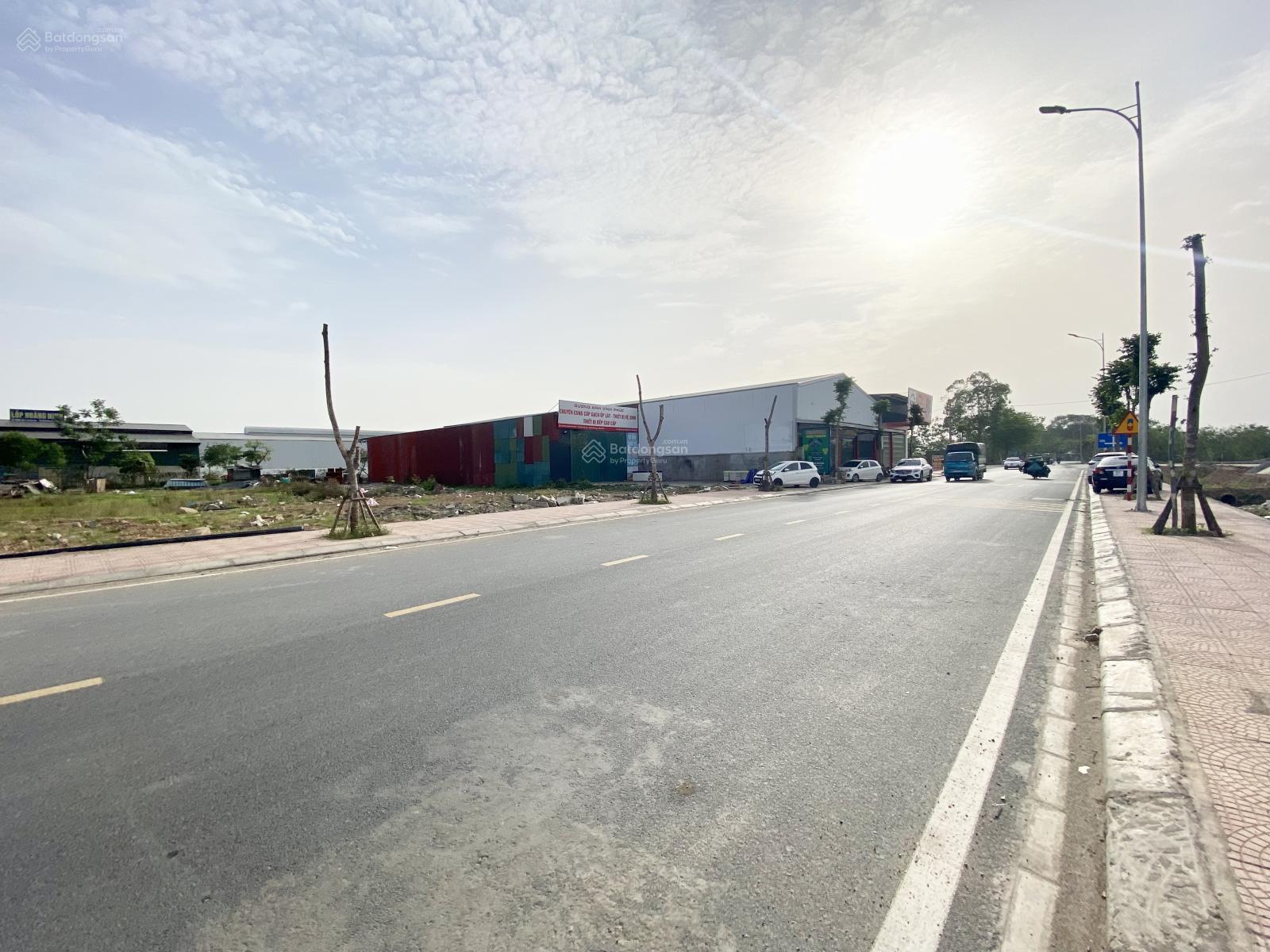 Bán lô đất DT303 dãy A CCN Minh Phương 500m² - Đầu tư sinh lời lý tưởng!