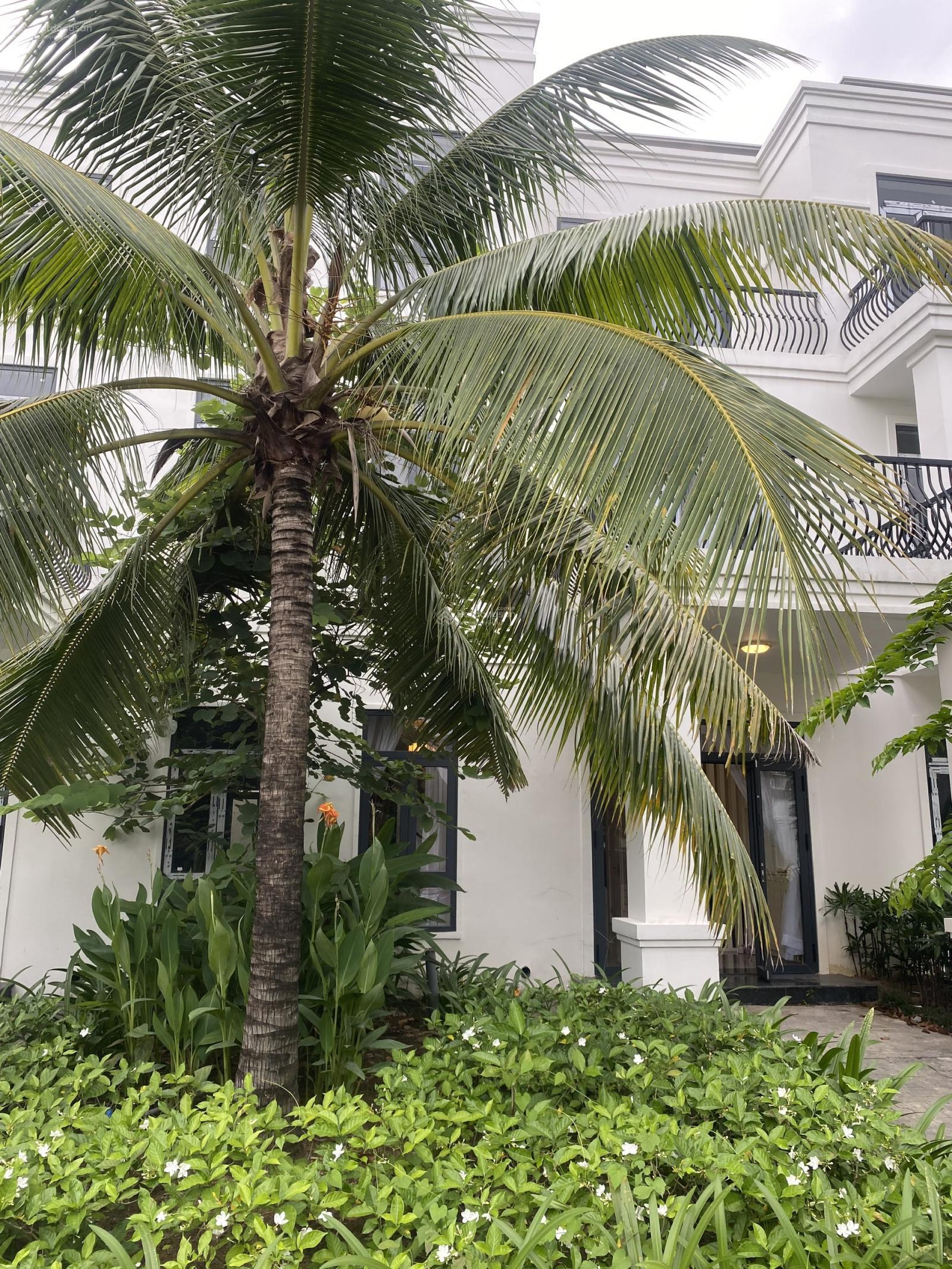 Cho thuê biệt thự tại West Lakes Golf & Villas 217m² giá 15 triệu - Không gian sống đẳng cấp!