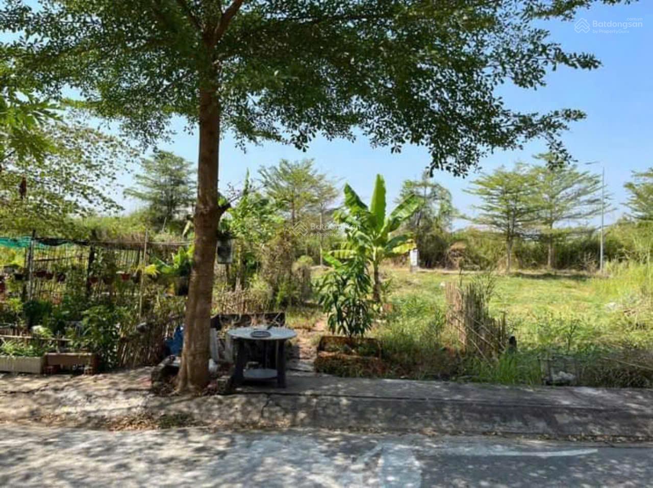 Đất KDC ven sông Nguyễn Bình 82.5m² giá 3.3 tỷ - Sổ hồng riêng, xây dựng tự do!