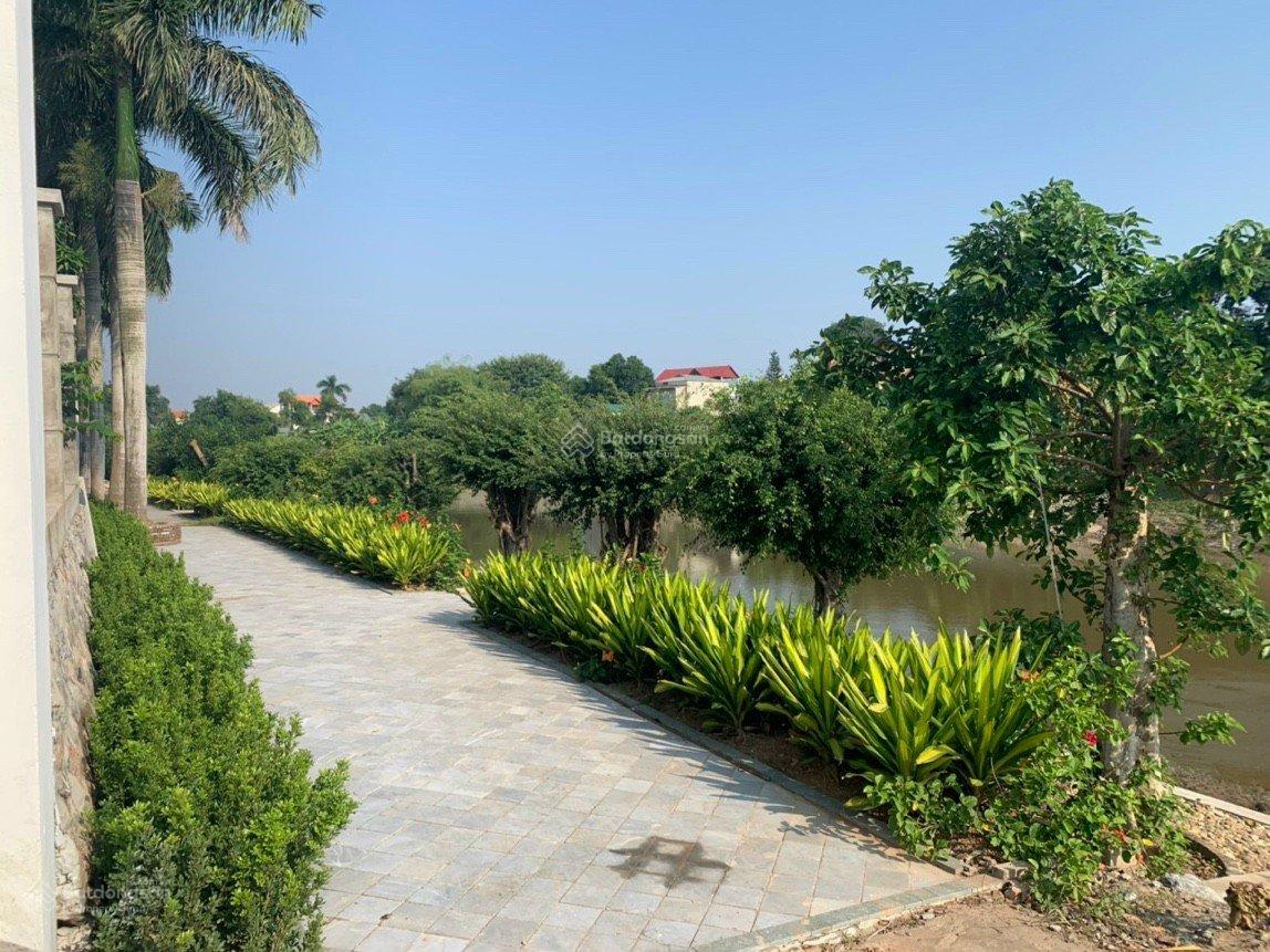 Biệt thự Quang Minh 1000m² giá tốt - Không thể bỏ qua!