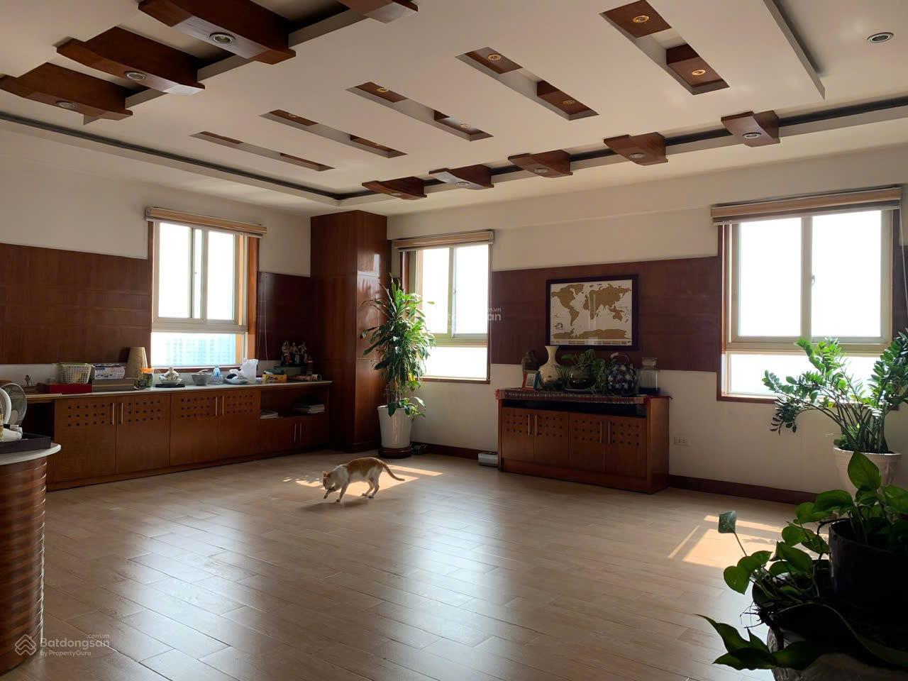 Căn hộ chung cư 229 Phố Vọng 230m² giá 20.5 tỷ - Chính chủ bán, sẵn sàng vào ở!