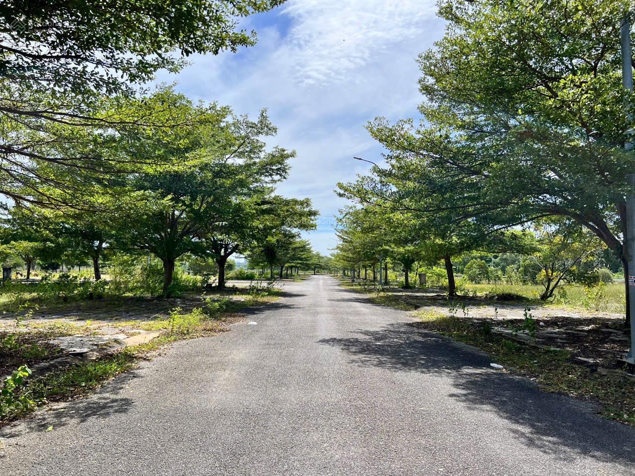 Đất nền liền kề Phú Quốc 123m² giá 5.5 tỷ - Đối diện chợ và TTTM