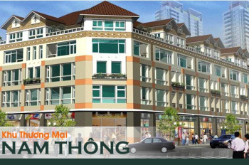 Bán biệt thự Nam Thông - Phú Mỹ Hưng - 144m² giá 42 tỷ - Nhà đẹp vào ở ngay!