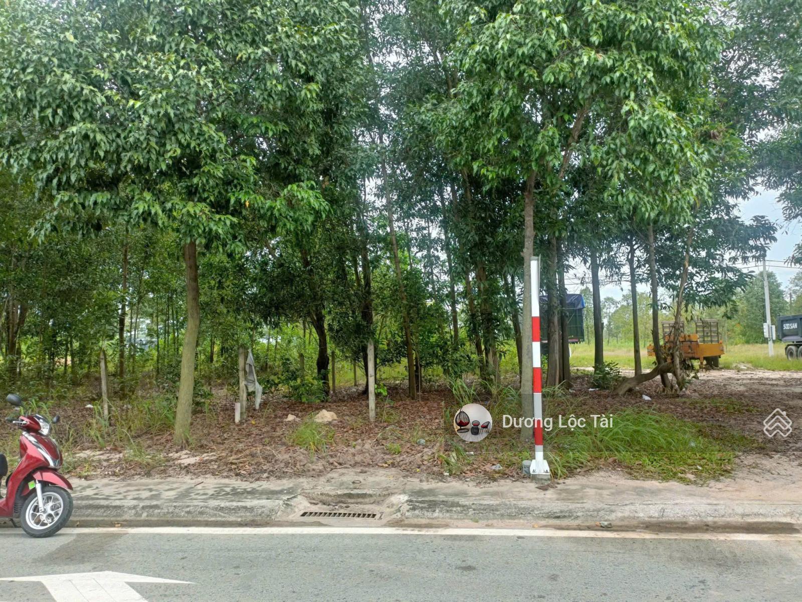 Đất nền Bến Cát 150m² giá 1.39 tỷ - Sổ hồng chính chủ sang tên ngay!