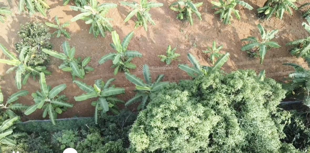 Đất nền xã Phú Mãn 1510m² giá 12.83 tỷ - Đầu tư sinh lời cao!