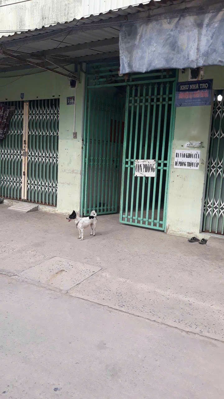 Dãy nhà trọ 13 phòng tại xã Tân Bửu, huyện Bến Lức, 375m² giá 12 tỷ - Đầu tư sinh lời ngay!