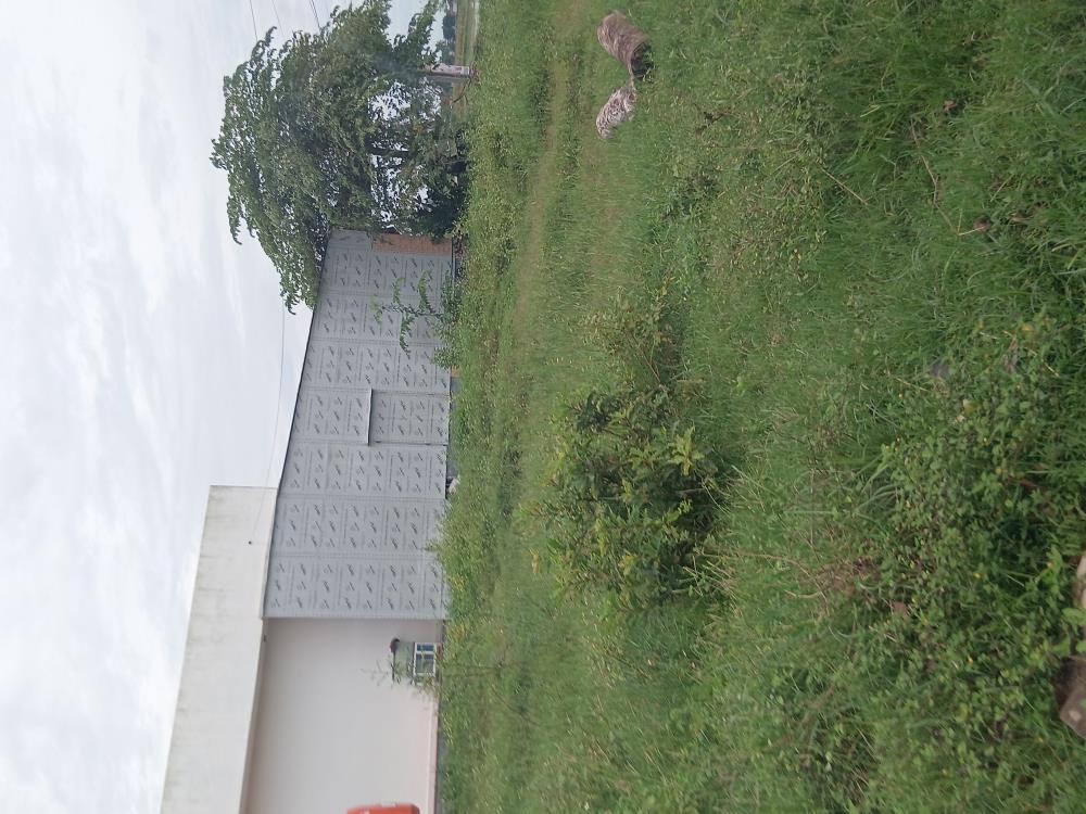 Đất nền Bình Nguyên, Thăng Bình 179m² - Sổ đỏ chính chủ giá chỉ 1.15 tỷ!