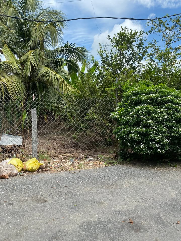 Đất nền Bình Thành, Lấp Vò 322m² giá 1.27 tỷ - Chính chủ, thương lượng!