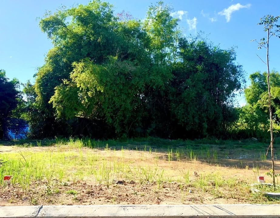 Đất nền Nhơn Hạnh, An Nhơn 92m² chỉ 420 triệu - Đầu tư sinh lời ngay!