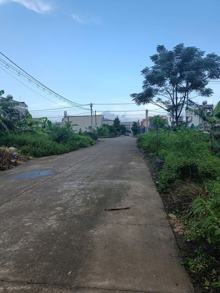 Đất mặt đường Lý Thái Tổ Ninh Bình 436m² - Giá đầu tư hấp dẫn!