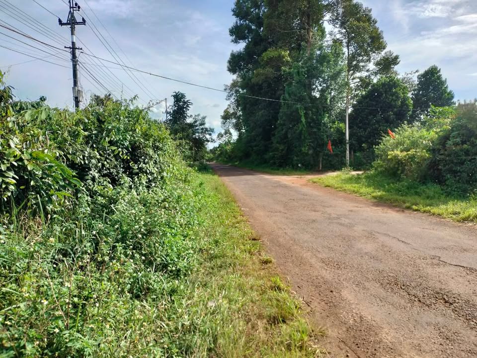 Farm bán gấp tại phường Nam Gia Nghĩa 12.070m² - Đầu tư sinh lời cao!