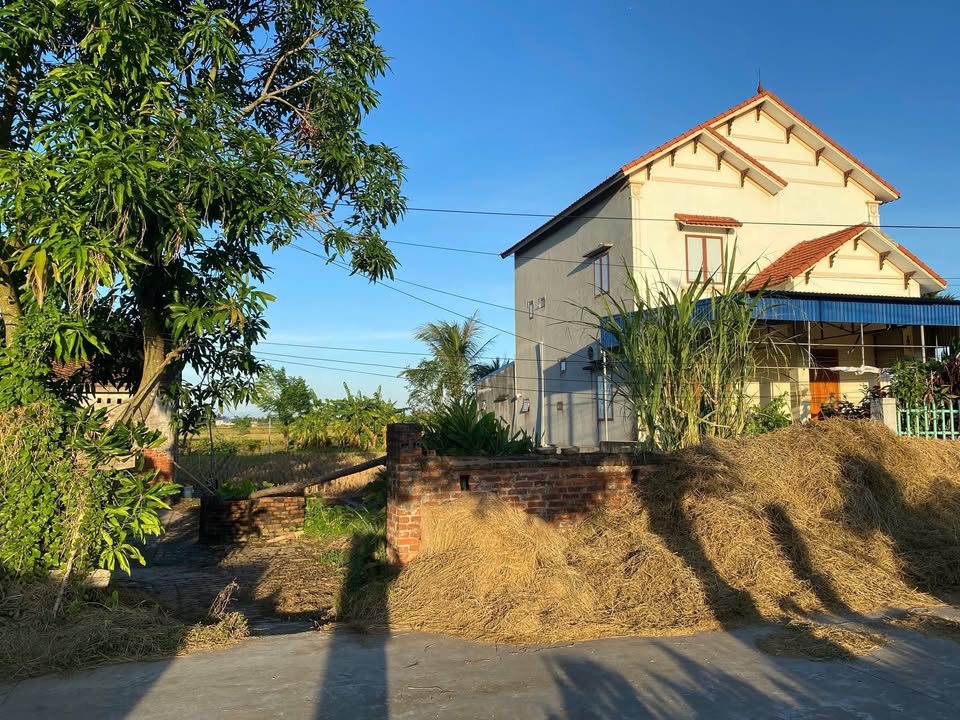 Đất Thổ Cư Chấn Hưng Tiên Lãng 192m² giá 1 tỷ - Sở hữu ngay vị trí đẹp!